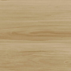 Blackbutt​